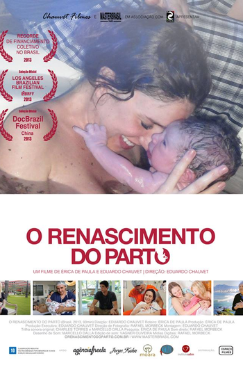 Poster de Filme O Renascimento do Parto (2013)