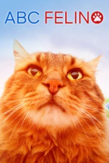 Poster de Série ABC Felino (2008)