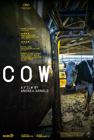 Poster 1 de Filme Cow (2022)