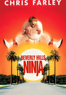Um Ninja da Pesada (Beverly Hills Ninja)