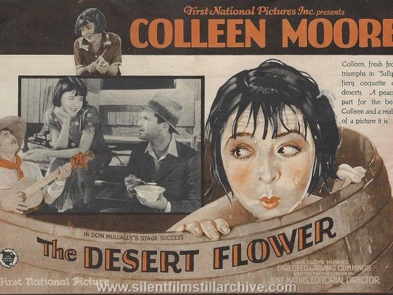 Foto 1 de Flor do Deserto