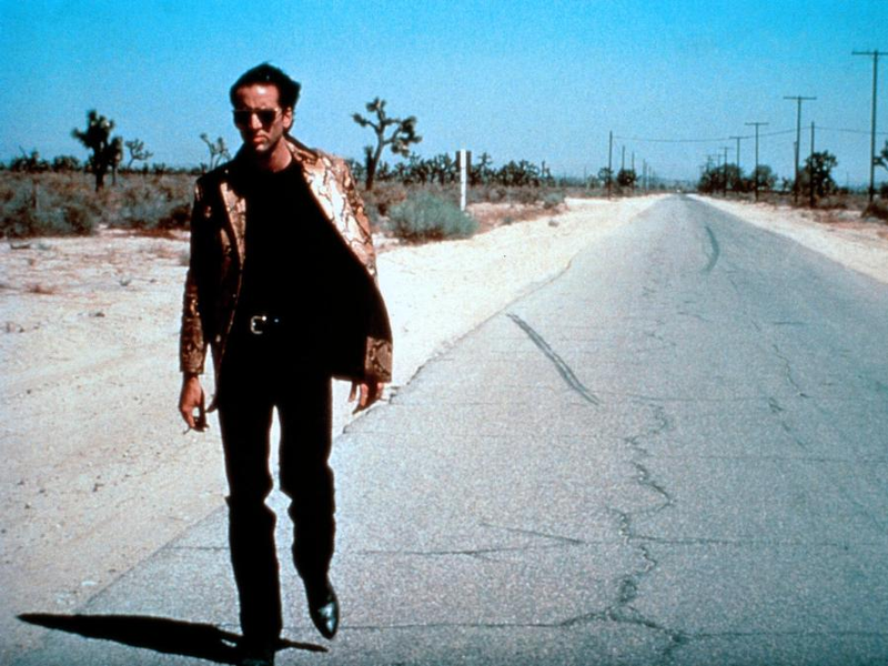 Foto 17 de Coração Selvagem