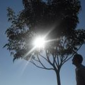 Foto de perfil de Pedro