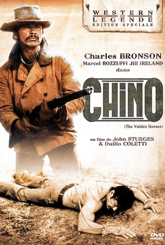 Poster 9 de Filme Valdez, o Mestiço (1973)