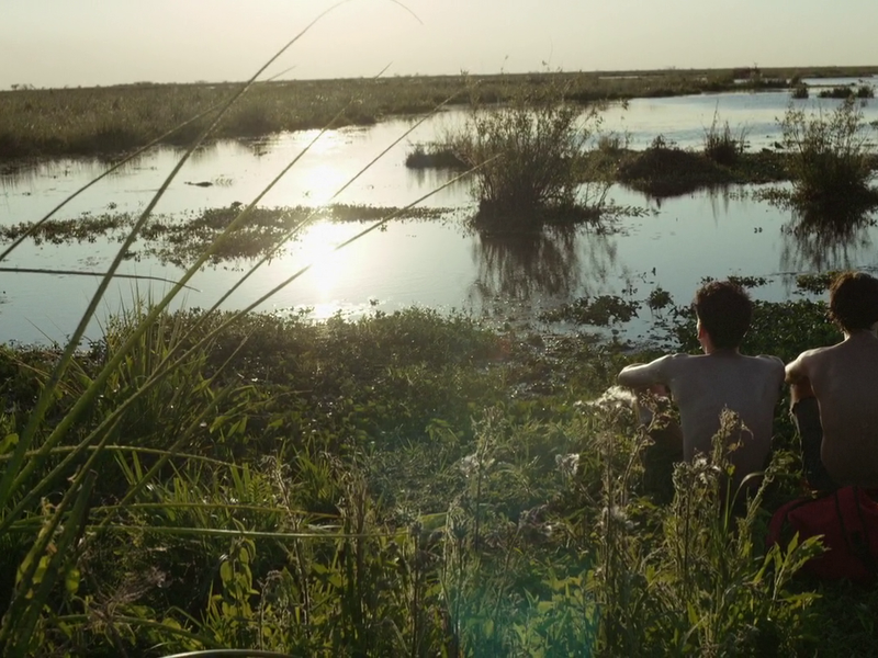 Foto 14 de Estuários