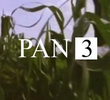 Pan 3