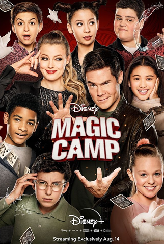 Poster 1 de Filme Campo de Magia (2020)
