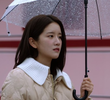 4회