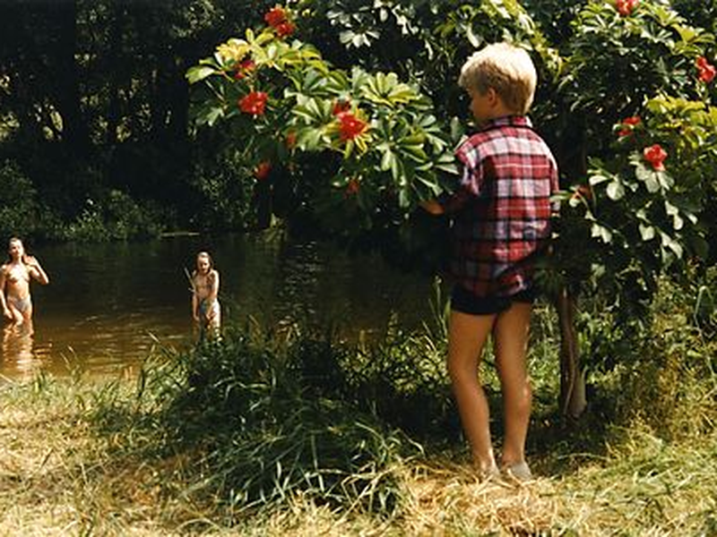 Foto 14 de Det skaldede spøgelse