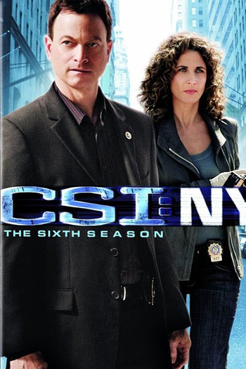 Poster de Série CSI: Nova Iorque (6ª temporada) (2009)