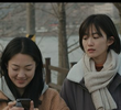 In Young's Camcorder