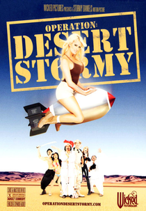 Operation: Desert Stormy (Operation: Desert Stormy)