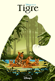 Tigre - Poster / Capa / Cartaz - Oficial 2