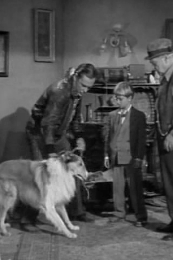 Poster de Episódio Inheritance (1954)