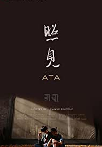 ATA (ZHAOJIAN)