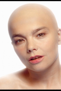 Björk: Hunter - Poster / Capa / Cartaz - Oficial 1