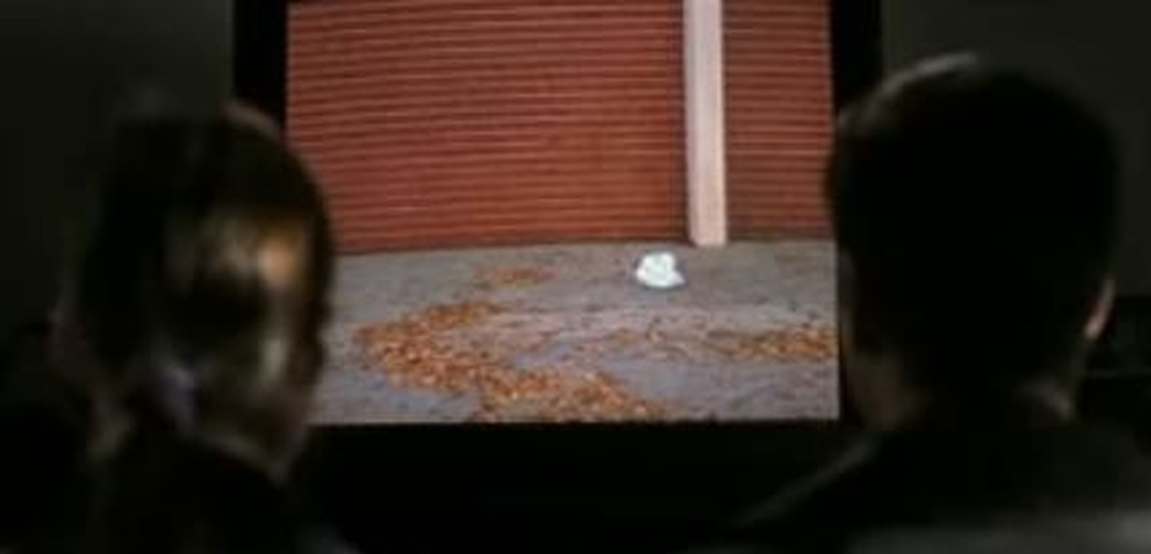 VF - Foto 2