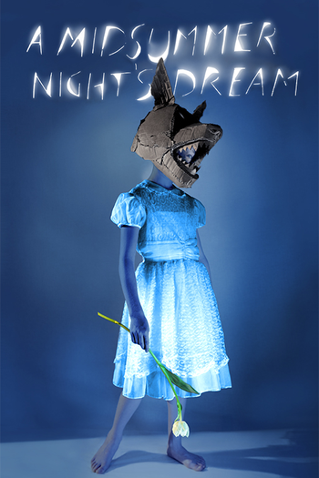Poster de Filme Sonho de uma Noite de Verão (2014)