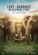 Elefantes: Em Nome da Liberdade (Love & Bananas: An Elephant Story)