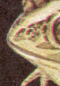 Beauty & the Beasts (Beauty & the Beasts)