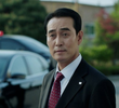 14회