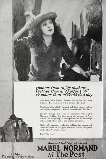 Poster de Filme O Último Capítulo (1919)