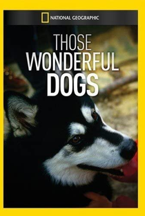 National Geographic - Esses Cães Maravilhosos - Poster / Capa / Cartaz - Oficial 3