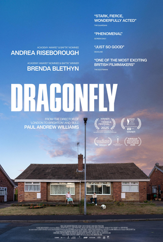 Poster 1 de Filme Dragonfly (2025)
