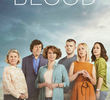 Flesh And Blood: Um Crime na Vizinhança (1ª Temporada)
