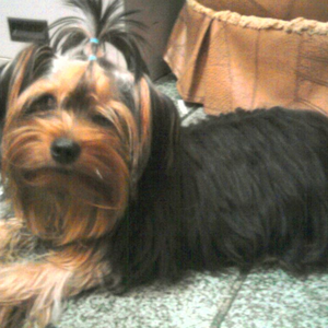 Foto de perfil de Jéssica P.