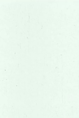 Wishful Thinking (Wishful Thinking)