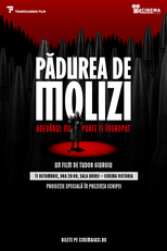 Floresta de Abetos (Pădurea de Molizi)