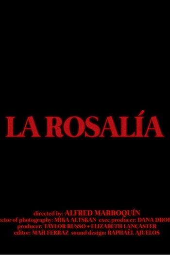 Poster de Série La Rosalía (2020)