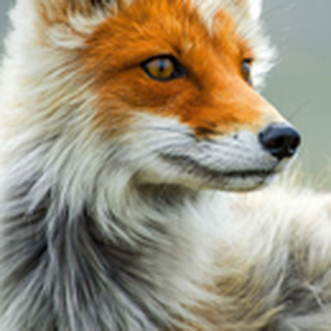 Foto de perfil de Yasmim  Medeiros