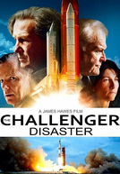 Ônibus Espacial Challenger (The Challenger Disaster)