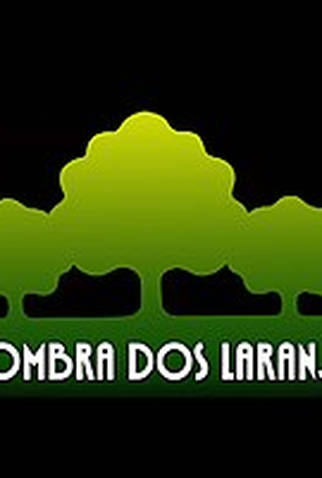 Poster 2 de TV À Sombra dos Laranjais (1977)