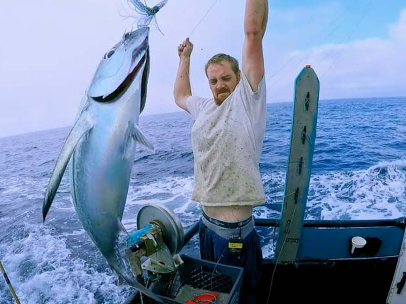 Foto 2 de Pesca Implacável