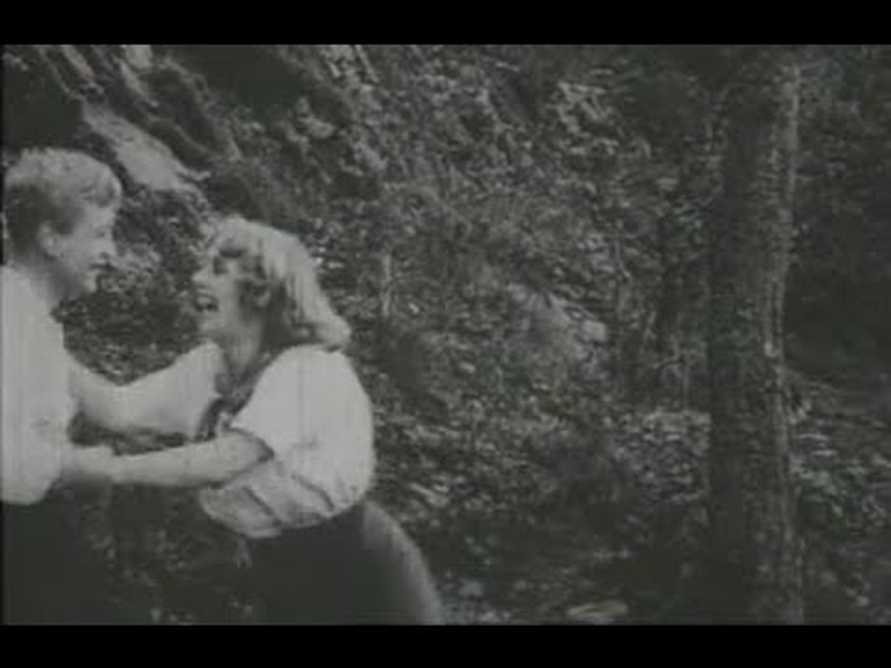 Foto 4 de O Jardineiro