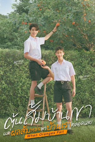 Poster 1 de Série When Oranges Fall (2026)