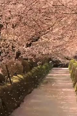 The Tsunami and the Cherry Blossom (The Tsunami and the Cherry Blossom)