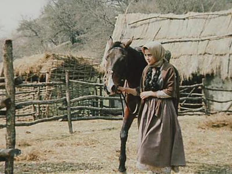 Foto 6 de Let us part while we are good     