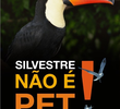 Silvestre Não é Pet!