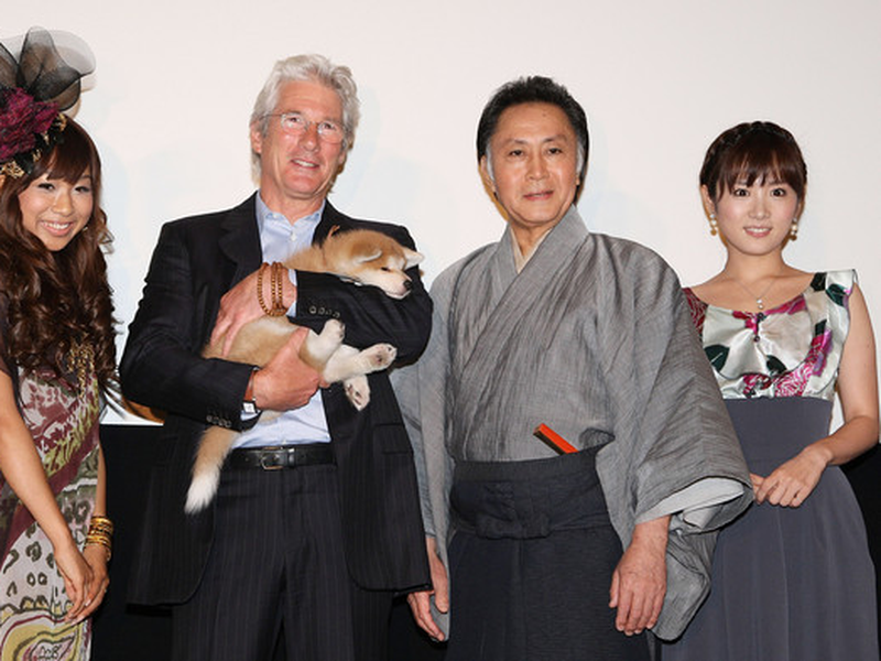 Foto 8 de Sempre ao Seu Lado