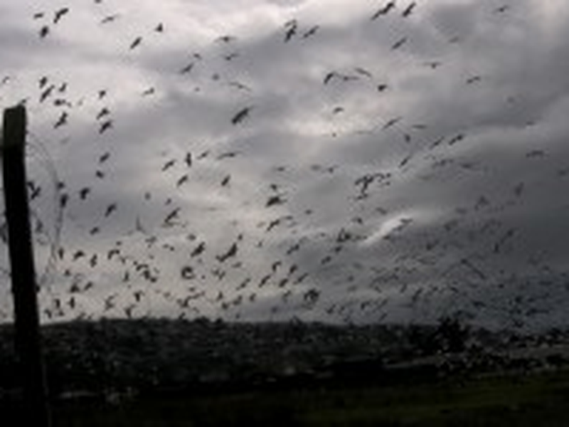 Foto 1 de No Final do Mundo