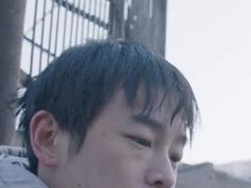 Foto 1 de Um Elefante Sentado Quieto