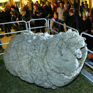 Foto de perfil de Gabriel G.