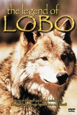 A Montanha do Lobo Solitário (The Legend of Lobo)
