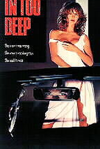 Poster 1 de Filme Atração sem Limites (1990)