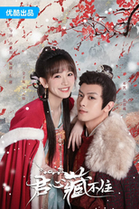 Governor's Secret Love (君心藏不住)