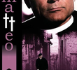 Don Matteo (2ª Temporada)